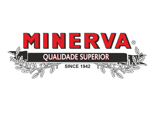 logo-minerva
